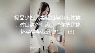 极品少妇人妻骚妇与炮友偷情，对白清晰有趣，“你把我搞怀孕得帮我还钱”！ (3)