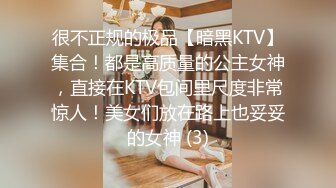 很不正规的极品【暗黑KTV】集合！都是高质量的公主女神，直接在KTV包间里尺度非常惊人！美女们放在路上也妥妥的女神 (3)