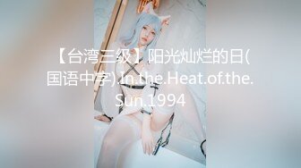 【台湾三级】阳光灿烂的日(国语中字).In.the.Heat.of.the.Sun.1994