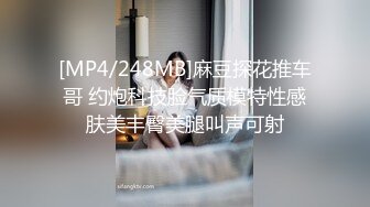 [MP4/248MB]麻豆探花推车哥 约炮科技脸气质模特性感肤美丰臀美腿叫声可射