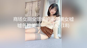 商场女厕全景偷拍多位美女嘘嘘各种美鲍一一呈现 (18)