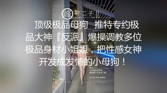 ✿顶级极品母狗✿推特专约极品大神『反派』爆操调教多位极品身材小姐姐，把性感女神开发成发情的小母狗！