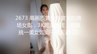 2673 高画质黄金角度偷拍商场女厕，3K超清画质，百里挑一美女如厕一览无遗 (2)