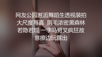 网友公园邂逅舞蹈生透视装拍大尺度写真  阴毛浓密黑森林若隐若现 一字马劈叉疯狂故意擦边玩露出