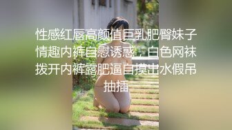 性感红唇高颜值巨乳肥臀妹子情趣内裤自慰诱惑，白色网袜拨开内裤露肥逼自摸出水假吊抽插