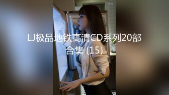 LJ极品地铁高清CD系列20部合集 (15)