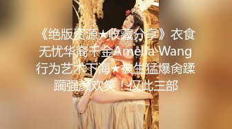 《绝版资源★收藏分享》衣食无忧华裔千金Amelia Wang行为艺术下海★被生猛爆肏蹂躏强颜欢笑！仅此三部