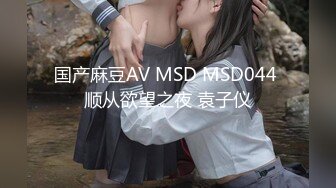 国产麻豆AV MSD MSD044 顺从欲望之夜 袁子仪