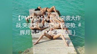 【PMD004】 粉丝突袭大作战.突袭女神.解锁性爱姿势. #辉月杏梨（化名陈圆圆）