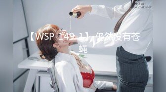 【WSP-149-1】 仍然没有苍蝇