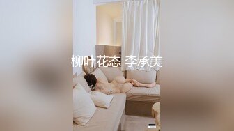 柳叶花态 李承美