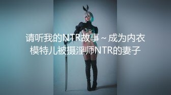 请听我的NTR故事～成为内衣模特儿被摄淫师NTR的妻子