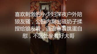 喜欢刺激的小少妇深夜户外陪狼友骚，公园内漏出骚奶子揉捏给狼友看，逼逼塞着跳蛋自慰，不远处坐着好大哥