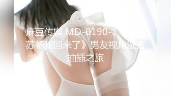 麻豆传媒 MD-0190-1《我是苏畅我回来了》男友视角湿蜜抽插之旅